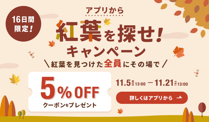 紅葉をさがせ