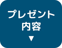 プレゼント<br>内容