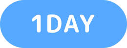 1DAY