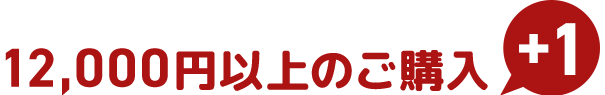 12,000円以上のご購入