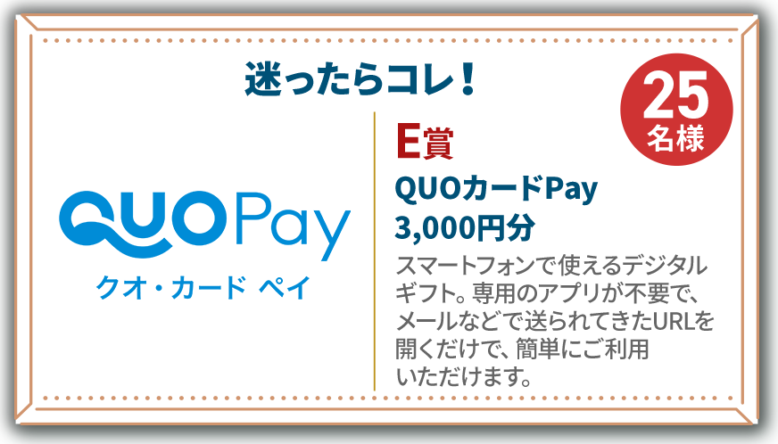 E賞 QUOカードPqy 3,000円分