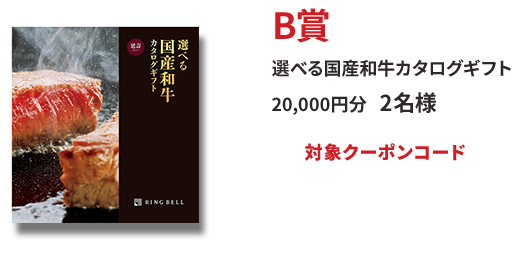 B賞 選べる国産和牛カタログギフト 20,000円分
