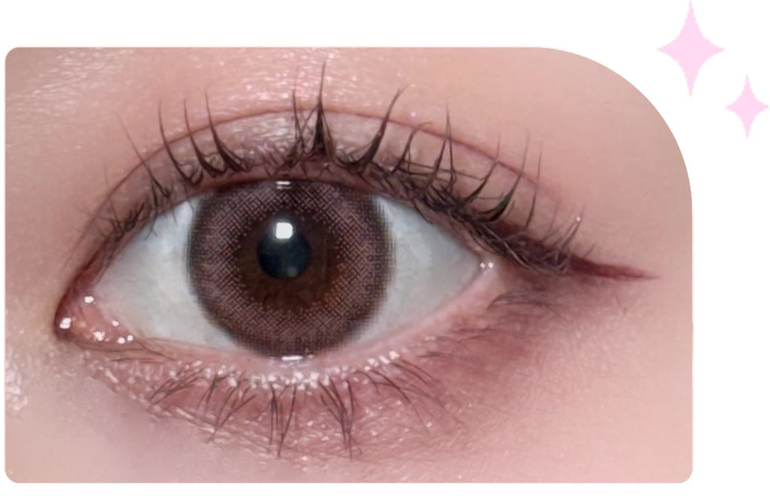 ムーディー クラシック CAMELLIA BROWN