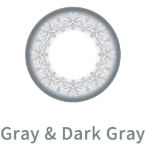 シード マンスリー カラー レンズ UV Gray and Dark Gray