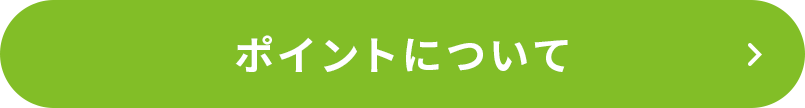 ポイントについて